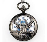 NOALED Pocket Watch Fashion Single Open Fob Mechanical Watches Steampunk Hollow Pocket Watch Transparent Casual Men Women Watches for Gift