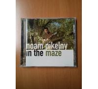 Noam Pikelny - In The Maze