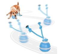 Noaya 2026 New Chase Buddy Dog Toy - Interactive Dog Ball for Boredom with 2 Chew Ropes, Active Dog Ball with Tail and Bird Sounds, USB Charging Moving Dogs Toys for Small Medium Large Dogs (Blue)