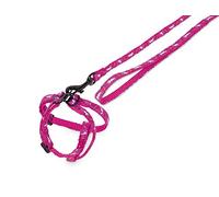 Nobby 78061-38 Nylon Lead and Harness for Rabbit with Carrot Motif