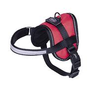 Nobby 80579 Seguro Mini Belly Harness, Red