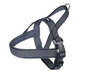 Nobby 80640 - 2005 Norwegian Harness Classic Preno Royal, Black