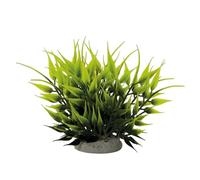 Nobby Aqua Ornaments Bamboo 6.5 x 6.5 x 11 cm