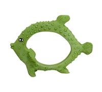 Nobby Aqua Ornaments Fish 20 x 5.5 x 14.5 cm