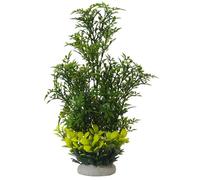Nobby Aqua Ornaments Helzine Green 7 x 7 x 27.5 cm
