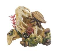 Nobby Aqua Ornaments Shell On Stone 5.5" x 3.5" x 4.8"