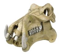 Nobby Aquarium Decoration Hippopotamus Skull, RRP 36.99 EUR, NEW
