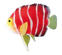 Nobby Aquarium Decoration Scalar 11X9 Cm Glow-In-The-Dark For Aquarium