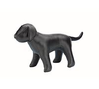 Nobby Black Dog For Presentation, 25 x 30 cm