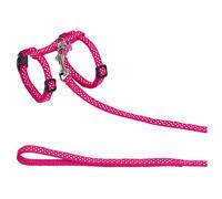 Nobby Cat Set Dots Pink Dish Collar Nylon Adjustable Safety