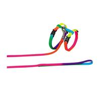 Nobby Cat Set Rainbow Colors Nylon With Collar And Leash