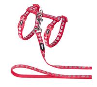 Nobby Cat Set Royale Red Dish & Leash Nylon Continuously Adjustable