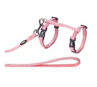 Nobby Cat Set Varia Pink Dish And Leash Continuously Adjustable