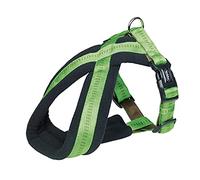 Nobby Chest size: 30-40 cm
