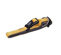 Nobby Classic Preno Dog Collar, 20-30 cm/15-20 mm, Orange/Gray