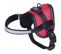 Nobby Dog Harness Seguro Mini Red, RRP 20.99 EUR, NEW