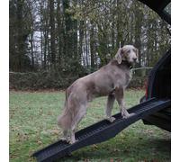 Nobby Dog Ramp 40X152Cm For Dogs Up To 60Kg - Joint & Back Friendly