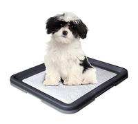 Nobby Doggy Trainer For Puppy Training, Non-Slip Pads, Dog Friendly