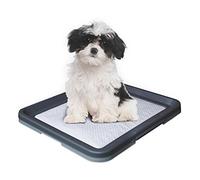 Nobby Doggy Trainer, Small, 48 x 41 x 3.5 cm