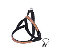 Nobby Flash Mesh Norwegian Harness Orange M: L: 60-75 cm + 52 cm, W: 25 mm, Pack of 1