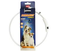Nobby LED Light Ring Shiny For Dogs, 65 Cm, 4 Colors, Visible Up To 300 M