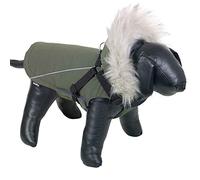 Nobby Mily 2-in-1 Dog Coat, Green, 36 cm, Pack of 1