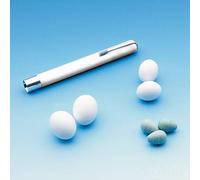 Nobby Nesteier Ws 100 Piece, 2,5 CM - Protection From Kannibalismus & Eierpicken