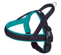 Nobby Norwegian Dog Harness Mesh Preno Turquoise, Padded, Adjustable
