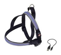 Nobby Norwegian Flash Mesh Harness Blue S: L: 50-65 cm + 48 cm; W: 25 mm