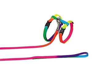 Nobby Rainbow Cat Set Toy