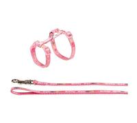 Nobby Set Kitty Cat Pink Dish And Leash For Kittens Adventure