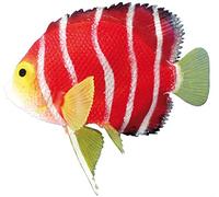 Nobby Skalar Fantasy Aquarium Decor, 11 x 9 cm