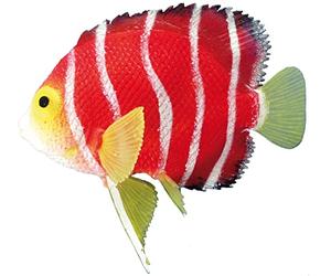 Nobby Skalar Fantasy Aquarium Decor, 11 x 9 cm