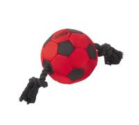 Nobby Tough Toy Ball with Rope