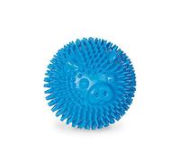 Nobby TPR Spiky Pig Ball, 6.5 cm, Blue