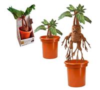 Noble Collection Harry Potter Mandrake Interactive Teddy