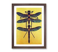 Noble Dragonflies Framed Print for Living Room Bedroom Home Office Décor, Wall Art Picture Ready to Hang, Walnut A2 Frame (64 x 46 cm)