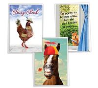 NobleWorks Assorted 3 Pack, Hysterical Animal Women's Birthday Greeting Cards with 5 x 7 Inch Envelopes (3 Designs, 1 Each) Wild Life VC2806BDG-C1x3