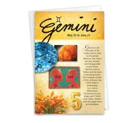 NobleWorks Birthday Greeting Card with 5 x 7 Inch Envelope (1 Card) Bday Gemini C9444BDG