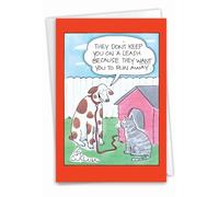NobleWorks - Cat Leash Birthday 5027