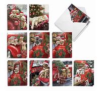NobleWorks Variety Pack of 20 Christmas Greeting Cards with Envelopes, Humor Holiday Assortment for Men and Women (10 Designs, 2 Each) - Red Truck Puppies AM3375XSG-B2x10