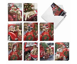 NobleWorks Variety Pack of 20 Christmas Greeting Cards with Envelopes, Humor Holiday Assortment for Men and Women (10 Designs, 2 Each) - Red Truck Puppies AM3375XSG-B2x10