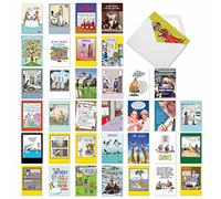 NobleWorks - Variety Pack of 36 Assorted Funny Birthday Cards Bulk Box Set w/Envelopes, Edgy Humor B-Day for Men, Women (36 Designs, 1 Each) - Birthday Favorites AC2911BDG-B1x36