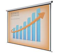 Nobo Wall Mounted Projection Screen 1902394 Format 4:3 234.5 x 176 cm