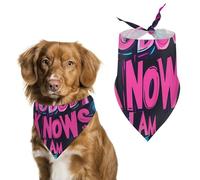 Nobody Knows I Am Bisexual Pet Bandana Dogs Triangle Scarf Cats Handkerchief Puppy Costume