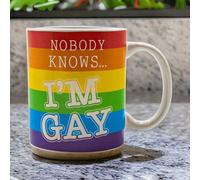 Nobody Knows I'm Gay - Heat Change Mug