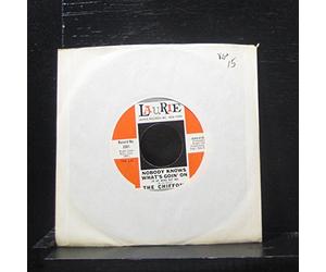 nobody's knows what's goin' on / did you ever go steady 45 rpm single