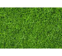 NOCH Dark Green Wild Grass 6mm (100g) HO Gauge Scenics 07094