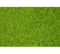 Noch 07122 Brown Wild Grass 9mm (50g)