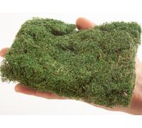 NOCH 07311 - Profi Dark Green Bush